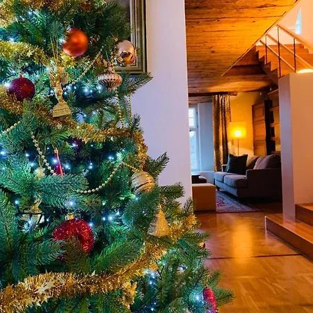 Luxury 4 Bedroom With Terrace And Sauna Apartmán Tallinn